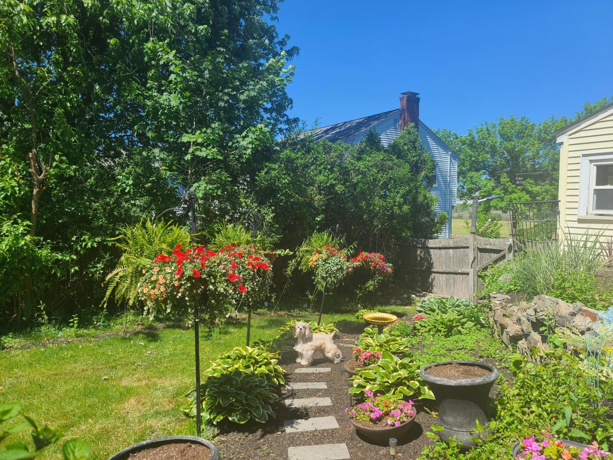Park View South Of Boston - Quincy Exterior foto